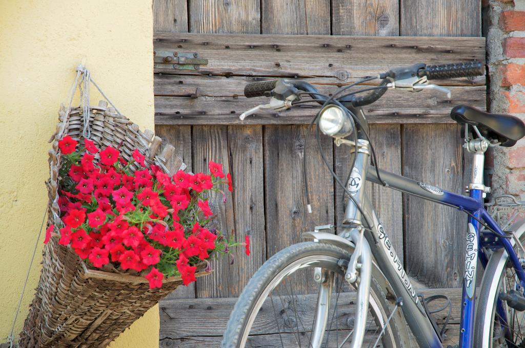비투오네 Cascina Delle Mele B&B 외부 사진